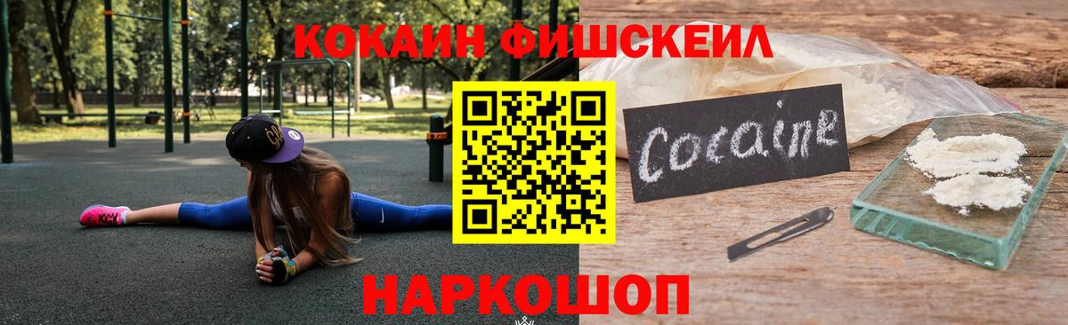 купить наркотики цена  Вход с VPN  Борзя  COCAIN Fish Scale  Кокаин 