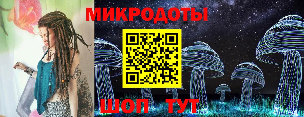 Галлюциногенные грибы Psilocybe Борзя