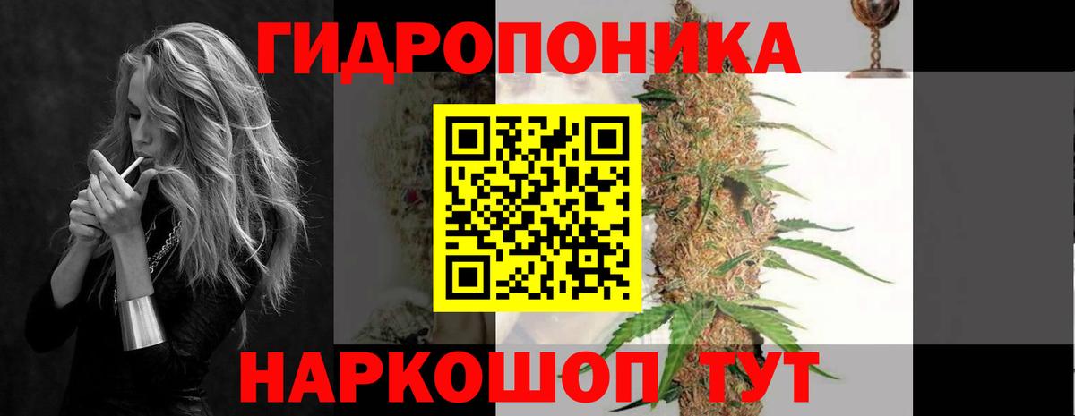 Шишки марихуана SATIVA & INDICA  Вход с VPN  Канабис сатива  Шишки марихуана сатива  Борзя 
